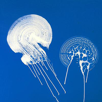 JELLYFISHES